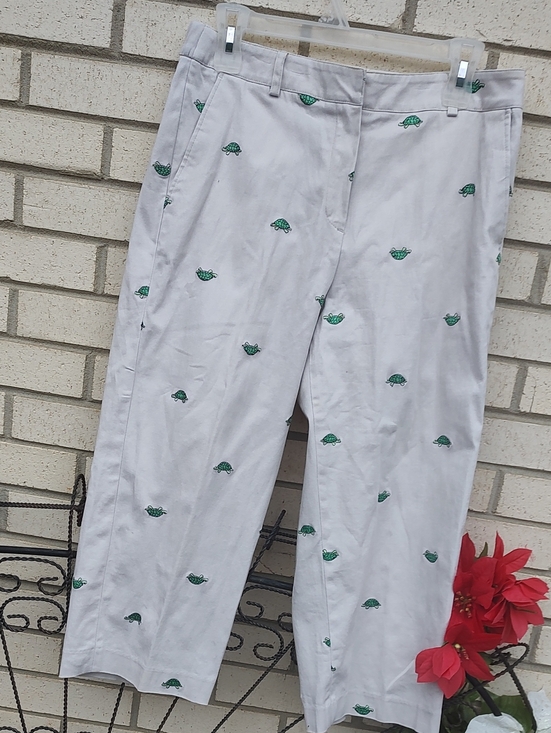 Kim Rogers Pants - 🐢/Capri Pants